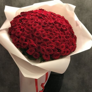 101 бордовая роза с упаковкой