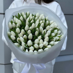 101 белый тюльпан с пышной упаковкой
