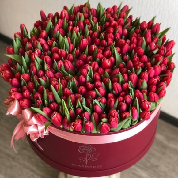 301 тюльпан в коробке Москва