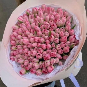 Букет из 151 розового тюльпана