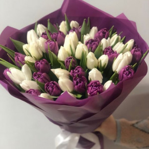 Букет из 51 тюльпана белого и фиолетового цвета