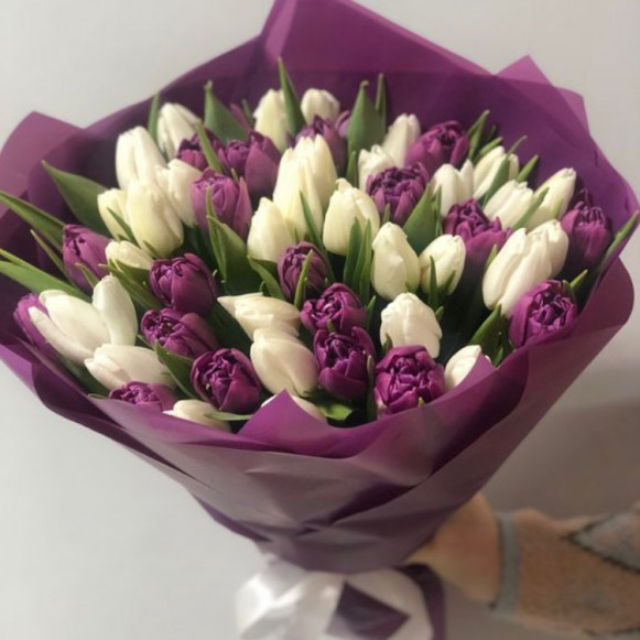 Букет из 51 тюльпана белого и фиолетового цвета Москва