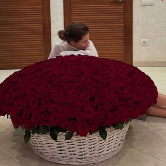 501 красная роза в корзине Москва