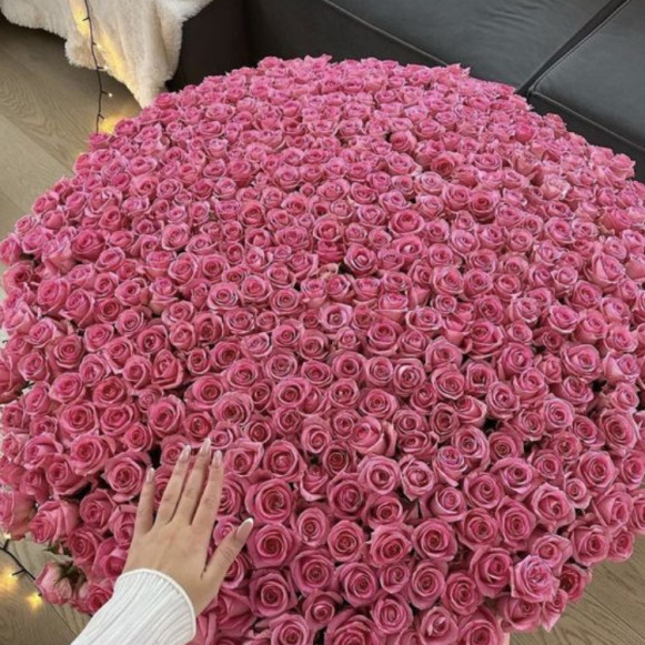 501 розовая роза с упаковкой Москва