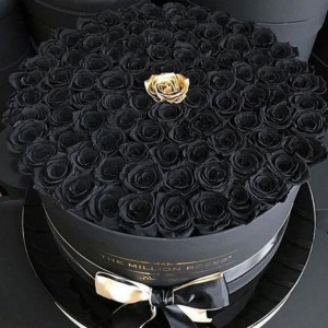101 черная роза в коробке