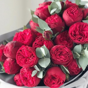 15 красных пионовидных роз с эвкалиптом