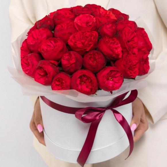 31 красная пионовидная роза в коробке в Москве