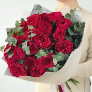 Букет 19 красных пионовидных роз с эвкалиптом