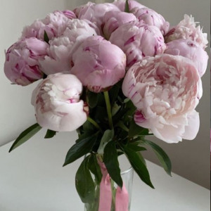 11 розовых пионов с лентами