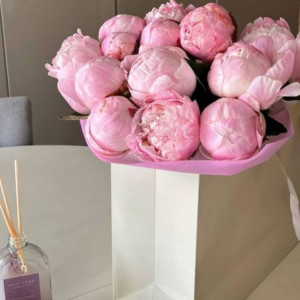 11 пионов розовых в подарочном пакете