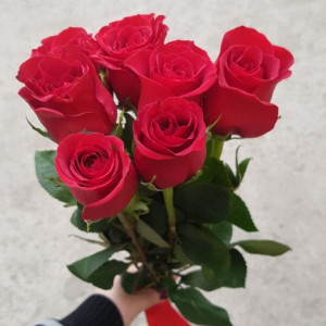Букет из 7 высоких красных роз 