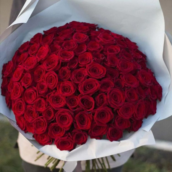 Букет 101 красная роза в голубой упаковке в Москве