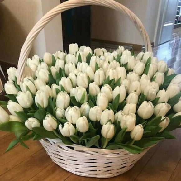 101 белый тюльпан в корзине в Москве
