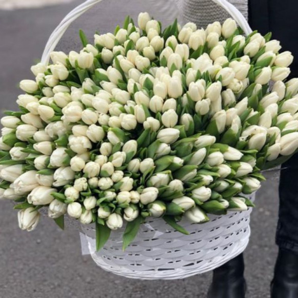 Огромная корзина 301 белый тюльпан с оформлением в Москве