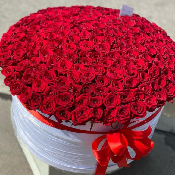 Большая коробка 201 красная роза с оформлением в Москве