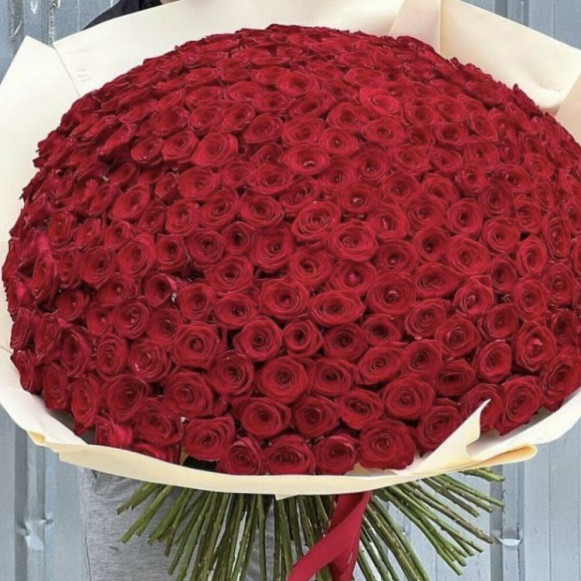 Огромный букет 301 красная роза с упаковкой в Москве