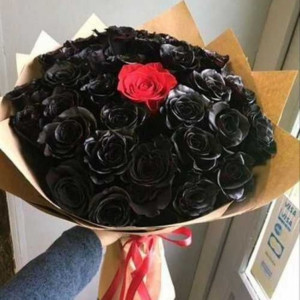 Букет 31 роза черные и одна красная с упаковкой