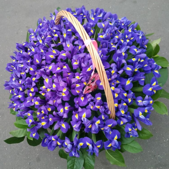 Большая корзина 151 фиолето-синий ирис с оформлением