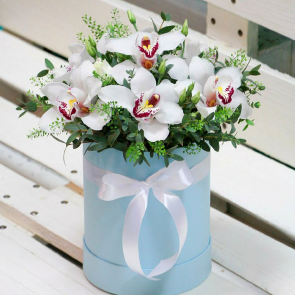 Коробка 11 белых орхидей с зеленью в Москве