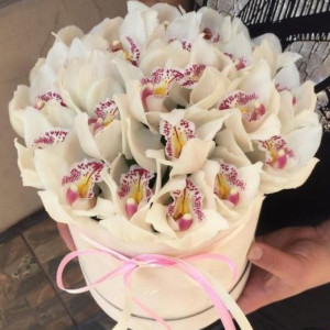 Коробка 19 белых орхидей с оформлением