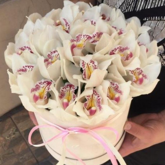 Коробка 19 белых орхидей с оформлением в Москве