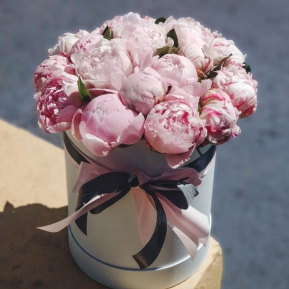 Коробка 9 розовых пионов с эвкалиптом в Москве