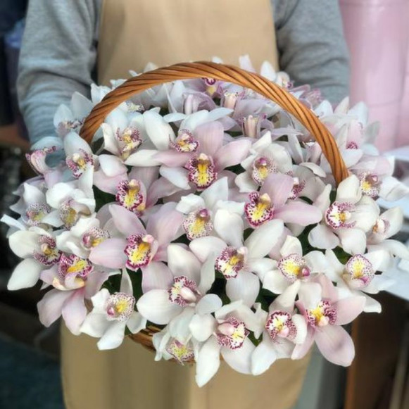 Корзина 75 нежных орхидей с оформлением