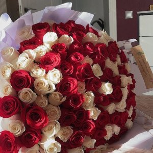 151 белая и красная роза с упаковкой