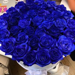 35 синих роз в белой коробке
