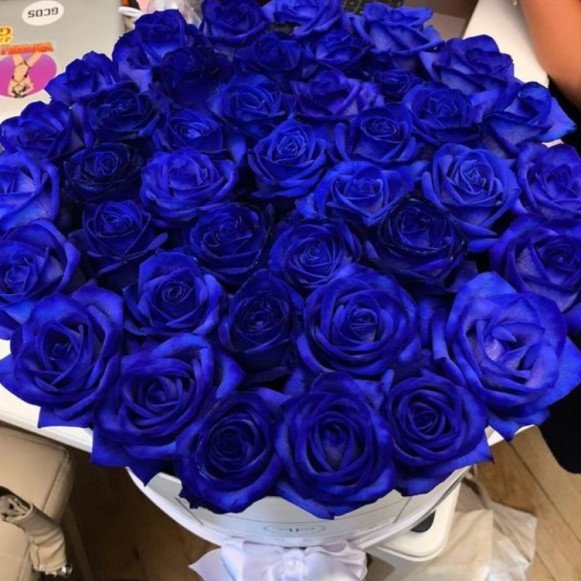 35 синих роз в белой коробке Москва
